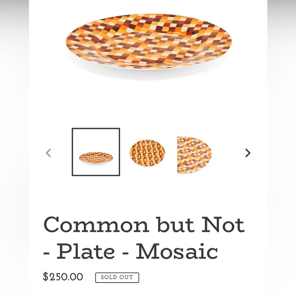 6️⃣ Common But Not Dinner Plate NEW - Picture 3 of 7